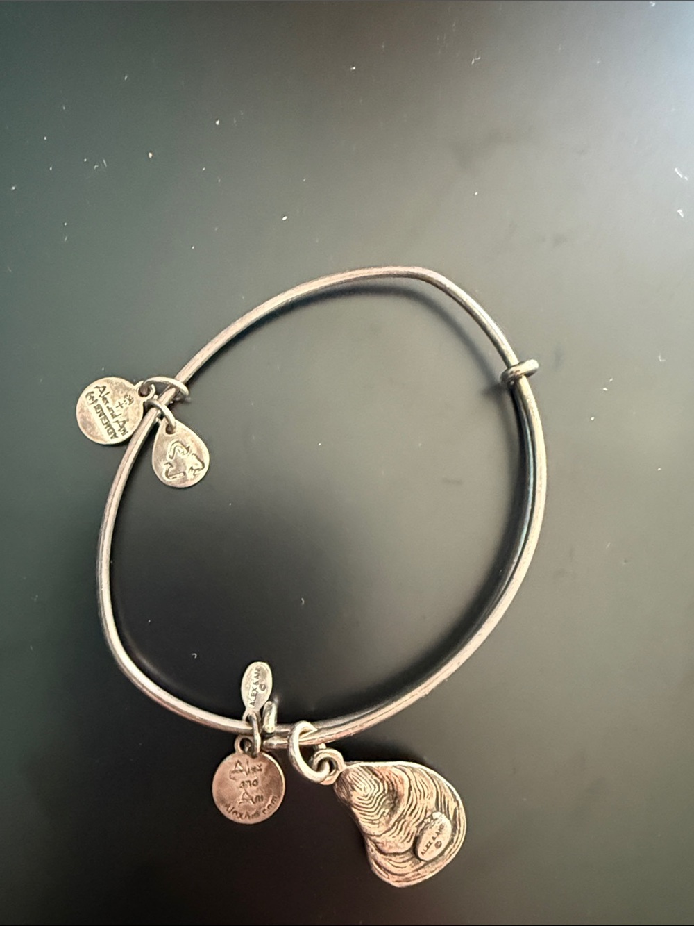 Alex and Ani Silver Oyster Charm Bangle - Antique Silver Finish